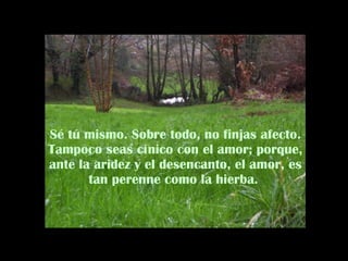 Sé tú mismo. Sobre todo, no finjas afecto. Tampoco seas cínico con el amor; porque, ante la aridez y el desencanto, el amor, es tan perenne como la hierba.  