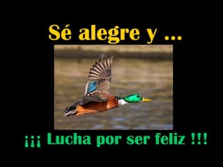 ¡¡¡ Lucha por ser feliz !!! Sé alegre y …  