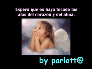 Espero que os haya tocado las alas del corazón y del alma. by parlott@ 