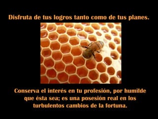 Disfruta de tus logros tanto como de tus planes.
Conserva el interés en tu profesión, por humilde
que ésta sea; es una posesión real en los
turbulentos cambios de la fortuna.
 