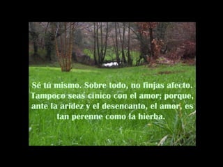 Sé tú mismo. Sobre todo, no finjas afecto.
Tampoco seas cínico con el amor; porque,
ante la aridez y el desencanto, el amor, es
tan perenne como la hierba.
 