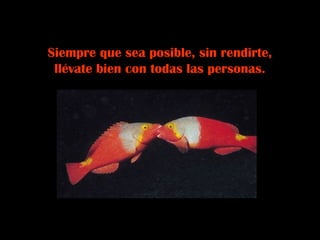 Siempre que sea posible, sin rendirte,
llévate bien con todas las personas.
 