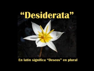 En latín significa “Deseos” en plural “ Desiderata”  