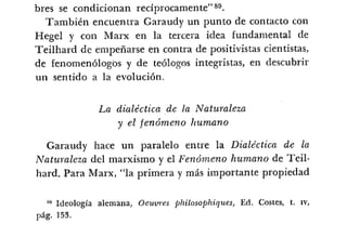 Desiderius BT 18oct09 A1