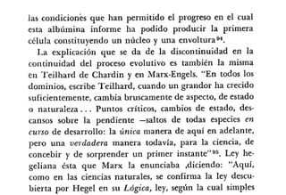 Desiderius BT 18oct09 A1