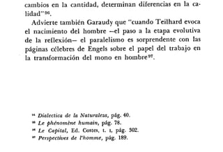 Desiderius BT 18oct09 A1