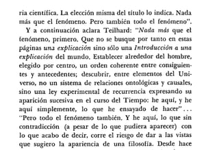 Desiderius BT 18oct09 A1