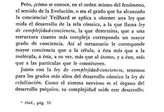 Desiderius BT 18oct09 A1