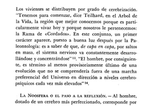 Desiderius BT 18oct09 A1