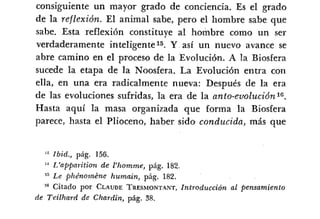 Desiderius BT 18oct09 A1