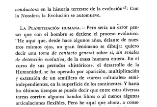 Desiderius BT 18oct09 A1