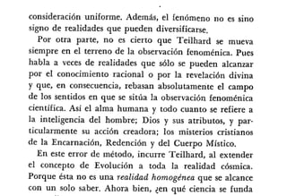 Desiderius BT 18oct09 A1