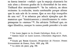 Desiderius BT 18oct09 A1