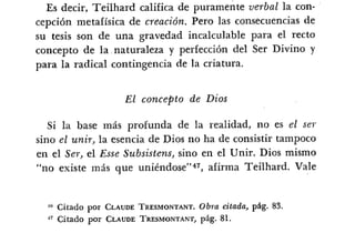 Desiderius BT 18oct09 A1