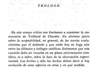 Desiderius BT 18oct09 A1