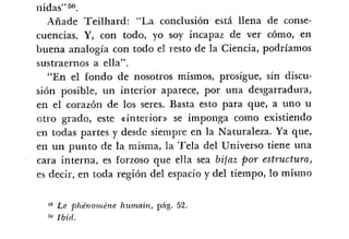 Desiderius BT 18oct09 A1