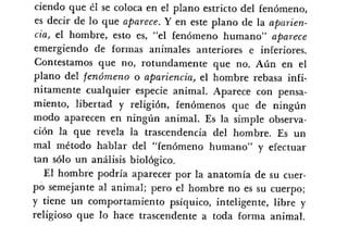 Desiderius BT 18oct09 A1