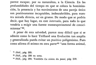 Desiderius BT 18oct09 A1