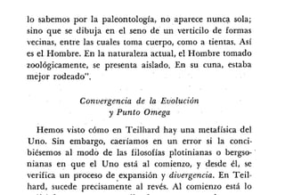 Desiderius BT 18oct09 A1