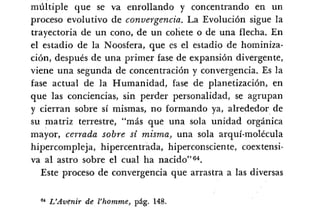 Desiderius BT 18oct09 A1