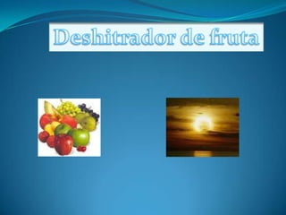 Deshitrador de fruta