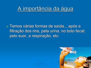 A importância da águaTemos várias formas de saída... após a filtração dos rins, pela urina, no bolo fecal; pelo suor, a respiração, etc.