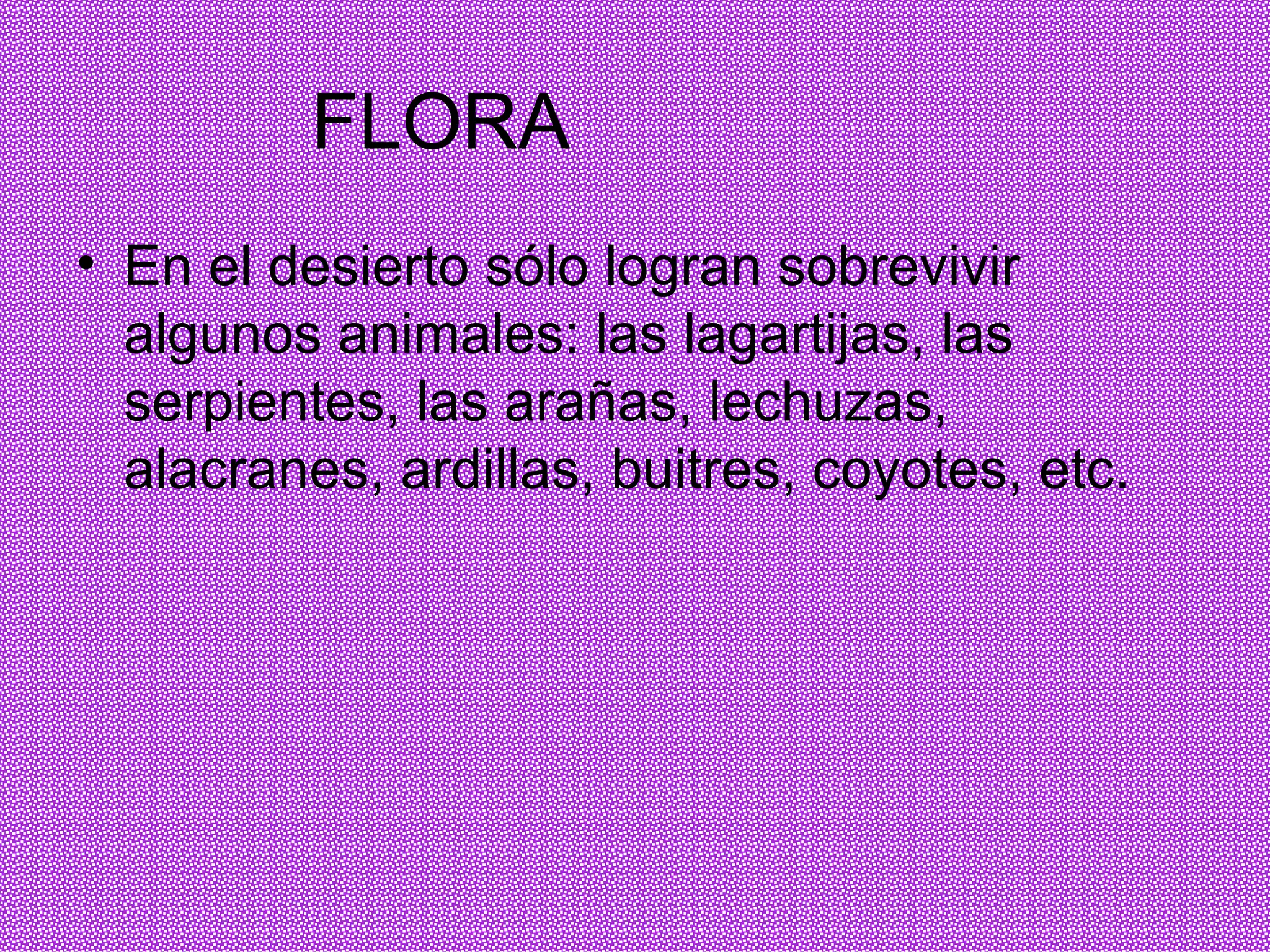 FLORA En el desierto sólo logran sobrevivir algunos animales: las lagartijas, las serpientes, las arañas, lechuzas, alacranes, ardillas, buitres, coyotes, etc.