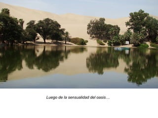 Luego de la sensualidad del oasis… 
