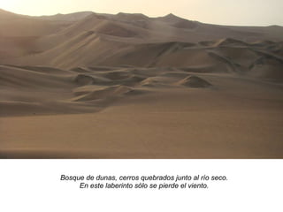 Bosque de dunas, cerros quebrados junto al río seco. En este laberinto sólo se pierde el viento. 