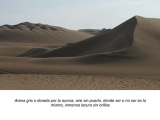Arena gris o dorada por la aurora, aire sin puerto, donde ser o no ser es lo mismo, inmensa locura sin orillas 