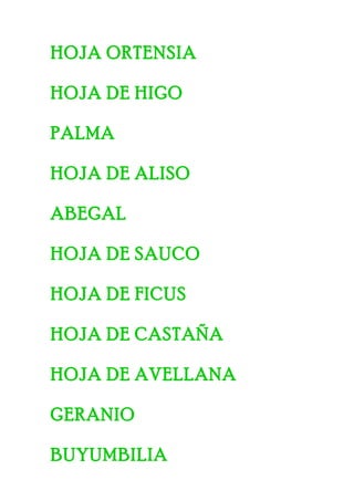 HOJA ORTENSIA
HOJA DE HIGO
PALMA
HOJA DE ALISO
ABEGAL
HOJA DE SAUCO
HOJA DE FICUS
HOJA DE CASTAÑA
HOJA DE AVELLANA
GERANIO
BUYUMBILIA
 