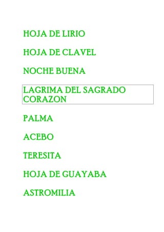 HOJA DE LIRIO
HOJA DE CLAVEL
NOCHE BUENA
LAGRIMA DEL SAGRADO
CORAZON
PALMA
ACEBO
TERESITA
HOJA DE GUAYABA
ASTROMILIA
 