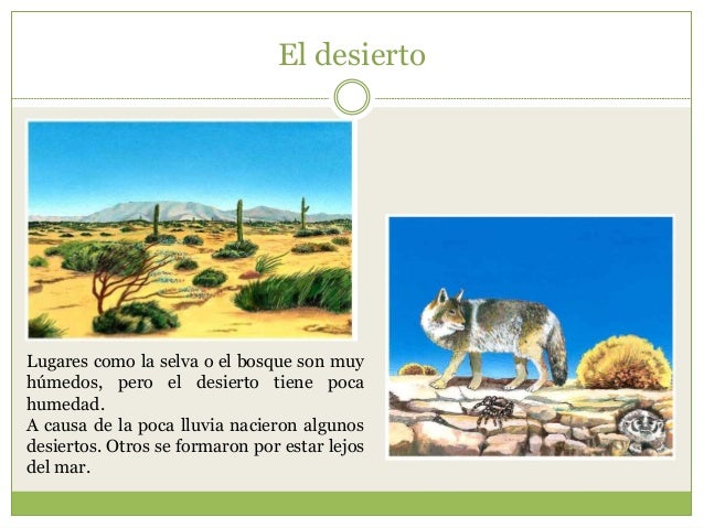 Cmo Era El Sahara Antes De Convertirse En Uno De Los