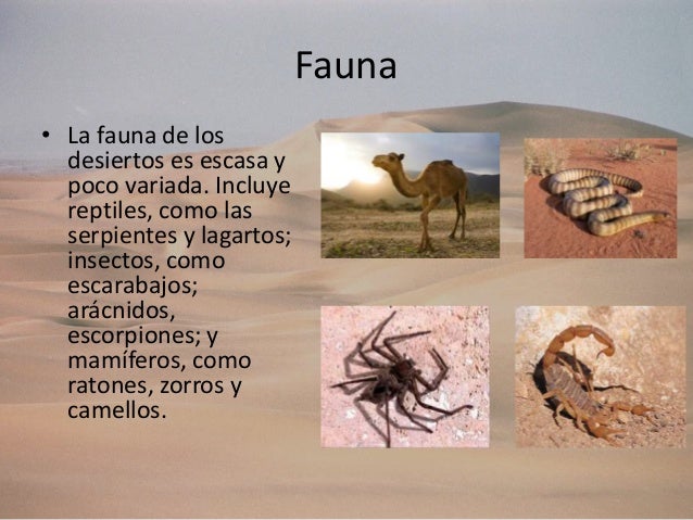 Desierto