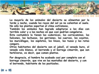 La mayoría de los animales del desierto se alimentan por la tarde y noche, cuando los rayos del sol ya no calientan el suelo. No sólo las plantas soportan el clima extremoso, También los animales han logrado adaptarse a los días con terrible calor y a las noches en que casi podrían congelarse. Esta costumbre la tienen las codornices, los correcaminos, los halcones, las lechuzas, los gorriones, los cuervos, los coyotes, los murciélagos, los zopilotes, los linces, las tuzas y las ratas canguro.  Otros habitantes del desierto son el jabalí, el venado bura, el venado cola blanca, el berrendo y el borrego cimarrón, que son herbívoros, es decir, que comen plantas.  Por desgracia, el hombre ha acabado casi por completo con el borrego cimarrón, que vive en las montañas del desierto, y con el berrendo, habitante de los pastizales.  DESIERTO DE BC 