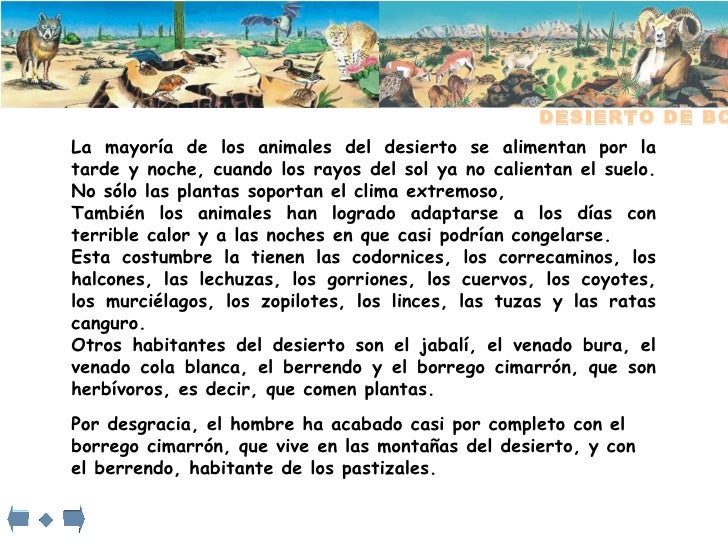 Desierto de BC