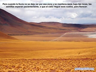 El Yerno del Gobernador del Estado Bolívar: Desierto de Atacama