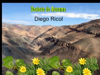 Diego Ricol
 