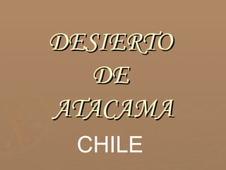 DESIERTO  DE  ATACAMA CHILE 
