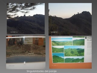 Singularidades del paraje 