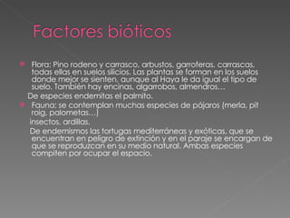 Flora: Pino rodeno y carrasco, arbustos, garroferas, carrascas, todas ellas en suelos silicios. Las plantas se forman en los suelos donde mejor se sienten, aunque al Haya le da igual el tipo de suelo. También hay encinas, algarrobos, almendros… De especies endemitas el palmito.  Fauna: se contemplan muchas especies de pájaros (merla, pit roig, palometas…)  insectos, ardillas. De endemismos las tortugas mediterráneas y exóticas, que se encuentran en peligro de extinción y en el paraje se encargan de que se reproduzcan en su medio natural. Ambas especies compiten por ocupar el espacio. 