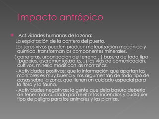 Actividades humanas de la zona:  La explotación de la cantera del puerto. Los seres vivos pueden producir meteorización mecánica y química, transforman los componentes minerales. ( carreteras, urbanización del terreno…) basura de todo tipo (papeles, escrementos,botes…) las vias de comunicación, cultivos, mineria modifican las montañas. - Actividades positivas: que la información que aportan los monitores es muy buena y nos argumentan de todo tipo de cosas sobre la zona, que tienen un cuidado especial para la flora y la fauna. - Actividades negativas: la gente que deja basura deberia de tener mas cuidado para evitar los incendios y cualquier tipo de peligro para los animales y las plantas. 
