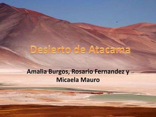 Amalia Burgos, Rosario Fernandez y
Micaela Mauro
 