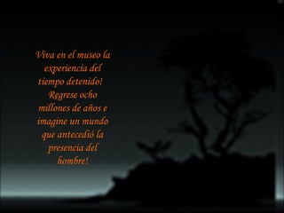 Viva en el museo la experiencia del tiempo detenido!  Regrese ocho millones de años e imagine un mundo que antecedió la presencia del hombre! 