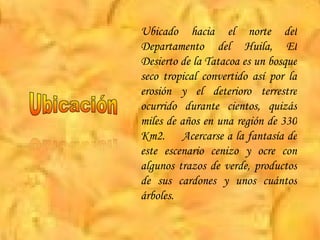 Ubicado hacia el norte del Departamento del Huila, El Desierto de la Tatacoa es un bosque seco tropical convertido así por la erosión y el deterioro terrestre ocurrido durante cientos, quizás miles de años en una región de 330 Km2.  Acercarse a la fantasía de este escenario cenizo y ocre con algunos trazos de verde, productos de sus cardones y unos cuántos árboles. 