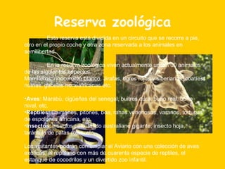 Reserva zoológica Esta reserva está dividida en un circuito que se recorre a pie, otro en el propio coche y otra zona reservada a los animales en semilibertad. En la reserva zoológica viven actualmente unos 700 animales de las siguientes especies. Mamíferos: rinoceronte  blanco , Jirafas, tigres rojos y siberianos, coatíes, nutrias, gacelas norteafricanas etc. Aves : Marabú, cigüeñas del senegal, buitres aura, buho real, buho nival, etc. Reptiles : Caimanes, pitones, boa, ranas venenosas, varanos, tortugas de espolones africana, etc. Insectos : lnsectos palo, lafido australiano gigante, insecto hoja, tarántula de patas rojas, etc. Los visitantes podrán contemplar el Aviario con una colección de aves exóticas, el reptilario con más de cuarenta especie de reptiles, el estanque de cocodrilos y un divertido zoo infantil. 