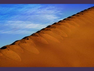 El desierto