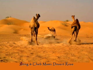 Sting & Cheb Mami: Desert Rose