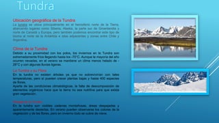Ubicación geográfica de la Tundra
La tundra se ubica principalmente en el hemisferio norte de la Tierra,
abarcando lugares como Siberia, Alaska, la parte sur de Groenlandia y
norte de Canadá y Europa, pero también podemos encontrar este tipo de
bioma al norte de la Antártida e islas adyacentes y zonas entre Chile y
Argentina.
Clima de la Tundra
Debido a su proximidad con los polos, los inviernos en la Tundra son
extremadamente fríos llegando hasta los -70°C. Aunque la mayoría del año
ocurren nevadas, en el verano se mantiene un clima menos helado de -
28°C y con algunas lluvias ligeras.
La Tundra y su Flora
En la tundra no existen árboles ya que no sobrevivirían con tales
temperaturas, pero sí pueden crecer plantas bajas y hasta 400 especies
de flores.
Aparte de las condiciones climatológicas, la falta de descomposición de
elementos orgánicos hace que la tierra no sea nutritiva para que exista
gran vegetación.
Paisaje de la Tundra
En la tundra son visibles cadenas montañosas, áreas despejadas y
aparentemente desiertas. En verano pueden observarse los colores de la
vegetación y de las flores, pero en invierno todo se cubre de nieve.
 