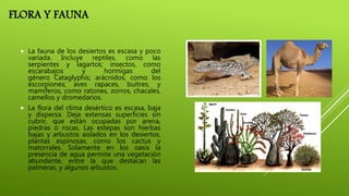 FLORA Y FAUNA
 La fauna de los desiertos es escasa y poco
variada. Incluye reptiles, como las
serpientes y lagartos; insectos, como
escarabajos y hormigas del
género Cataglyphis; arácnidos, como los
escorpiones; aves rapaces, buitres, y
mamíferos, como ratones, zorros, chacales,
camellos y dromedarios.
 La flora del clima desértico es escasa, baja
y dispersa. Deja extensas superficies sin
cubrir, que están ocupadas por arena,
piedras o rocas. Las estepas son hierbas
bajas y arbustos aislados en los desiertos,
plantas espinosas, como los cactus y
matorrales. Solamente en los oasis la
presencia de agua permite una vegetación
abundante, entre la que destacan las
palmeras, y algunos arbustos.
 